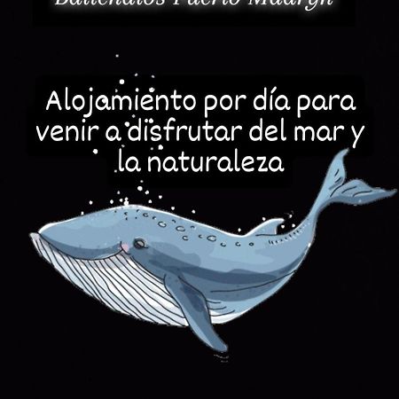 Ballenatos Madryn Puerto Madryn Esterno foto