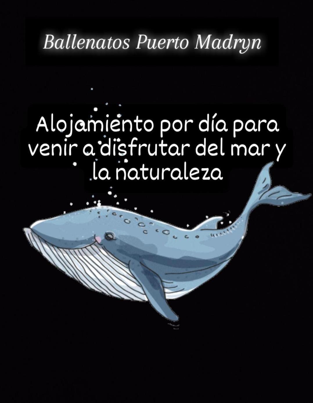 Ballenatos Madryn Puerto Madryn Esterno foto